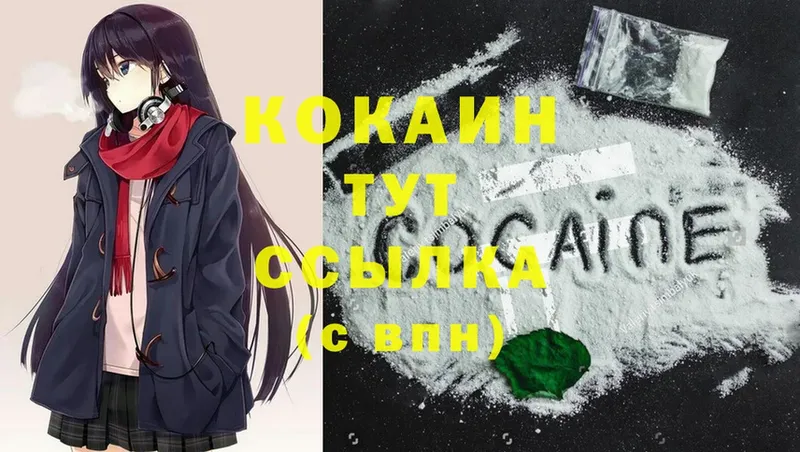 Cocaine FishScale  как найти наркотики  Ефремов 